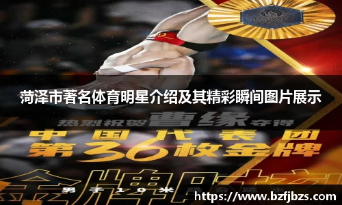 QY球友会官网